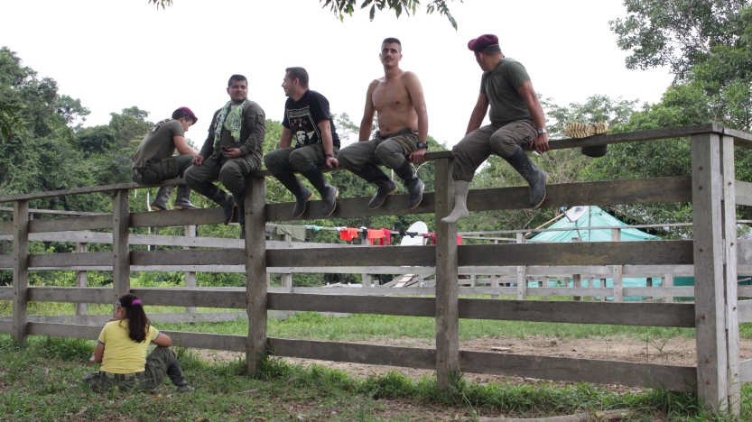 1.En las espesas selvas del Putumayo, el bloque sur de las Fuerzas Armadas Revolucionarias de Colombia - Ejército del Pueblo –FARC-EP- han empezado el camino de la desmovilización. 